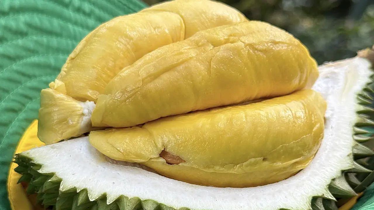 Ăn sầu riêng thế nào không gây tăng cân, ảnh hưởng đường huyết?
