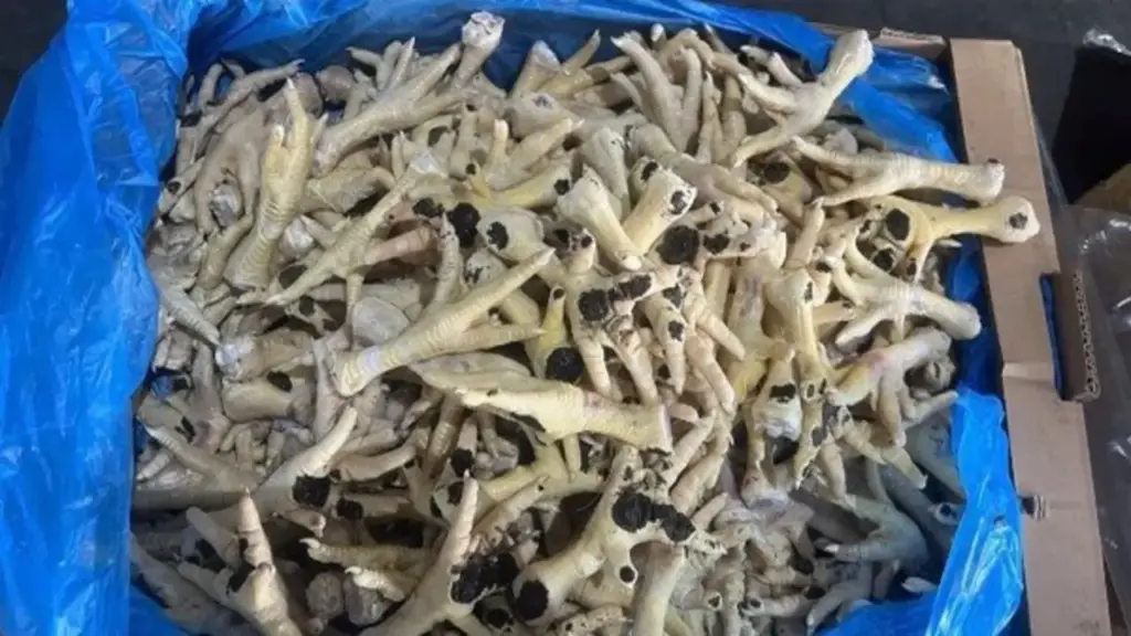 Bắt giám đốc công ty xuất nhập khẩu bán hơn 10.000 tấn chân gà 'bẩn'