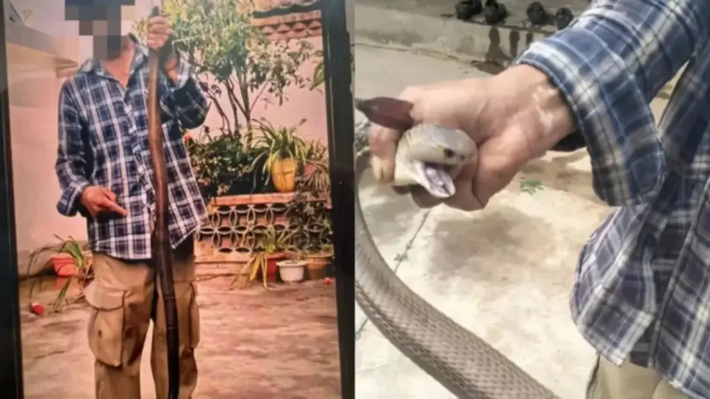Bị rắn hổ mang cắn vào tay vẫn chụp ảnh, người đàn ông 58 tuổi có trải nghiệm nhớ đời
