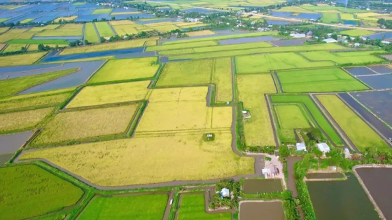 Cà Mau lập 13 phường: Hồng Dân với khát vọng vươn lên mạnh mẽ