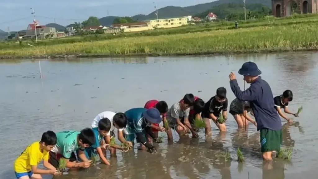 Cần thêm những lớp học đặc biệt cho 'khối nghỉ hè'