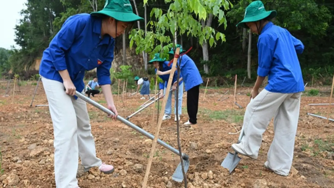 Cấp bách chống sa mạc hóa