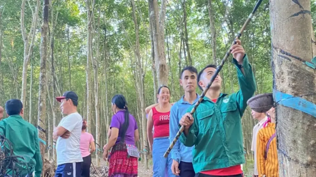 Cháng Seo Cú - Vững tay nghề, sáng vai trò ‘cầu nối’ lao động vùng cao