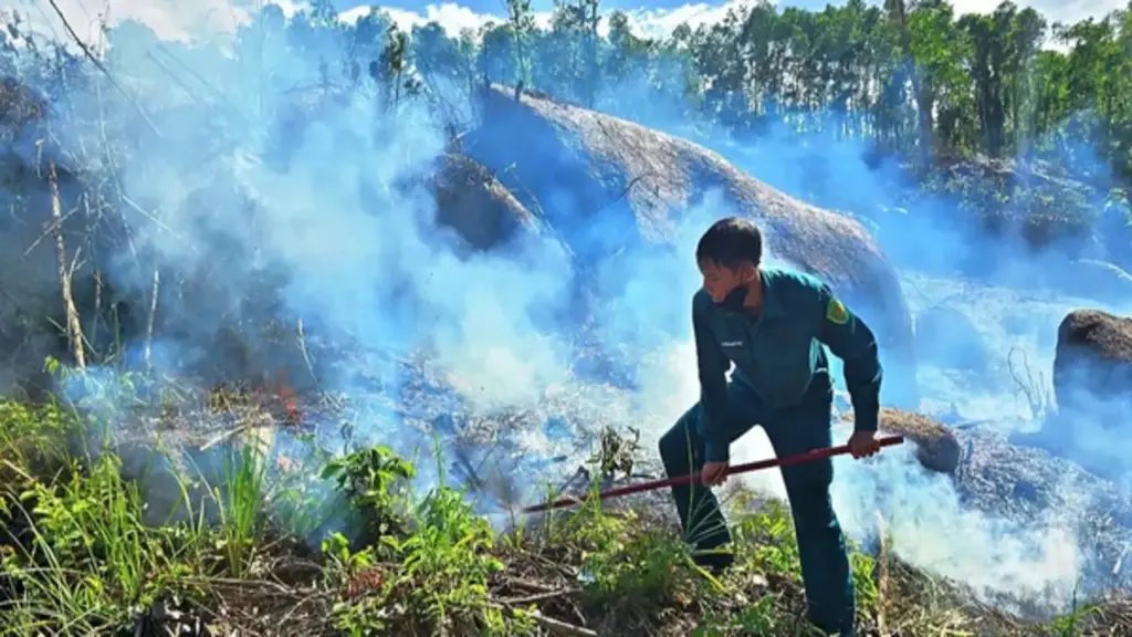 Cháy rừng ở Đà Nẵng, phát hiện 1 người đàn ông tử vong tại rẫy keo