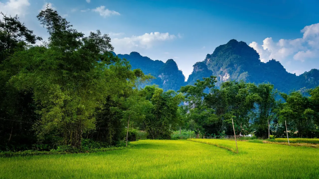 Chi hai triệu đồng khám phá Na Hang mùa nước dâng dịp cuối tuần