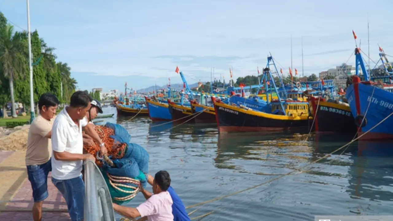 Chủ tàu "đỏ mắt" tìm bạn thuyền, nghề biển đối mặt bài toán thiếu lao động