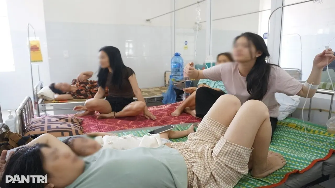 Đã tìm ra tác nhân khiến 124 người nhập viện sau khi ăn bánh mì