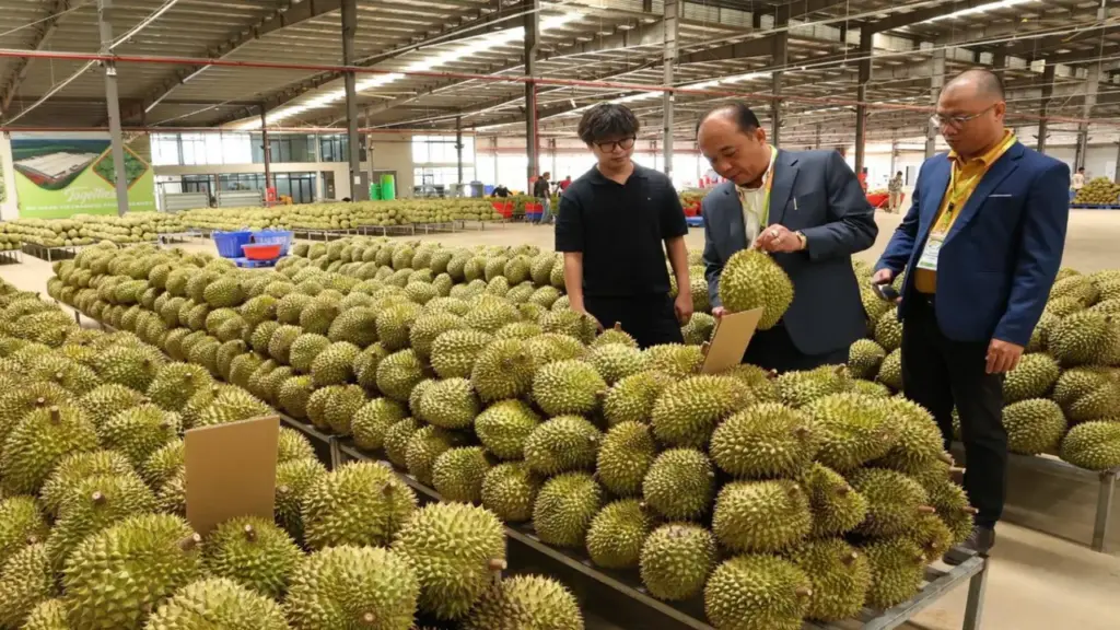 Danh sách mới nhất các phòng kiểm nghiệm Cadimi và vàng O trong sầu riêng