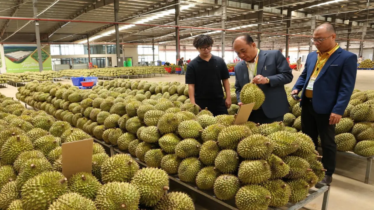 Danh sách mới nhất các phòng kiểm nghiệm Cadimi và vàng O trong sầu riêng