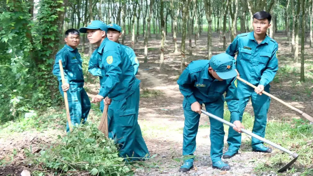 Dấu ấn đẹp 20 mùa Hành quân xanh
