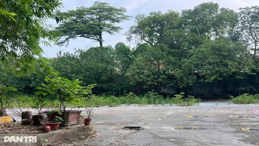 Đấu giá “đất vàng” Hà Nội: Doanh nghiệp sẽ mất cọc 135 tỷ đồng?