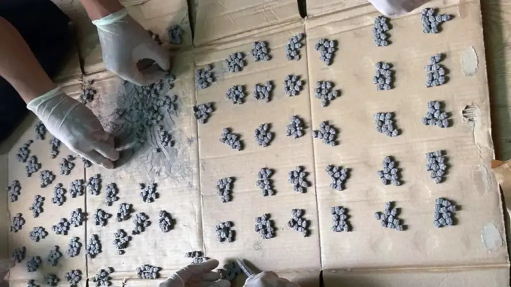 Đồng Nai phá án ma túy lớn, thu giữ lượng lớn ketamine và thuốc lắc