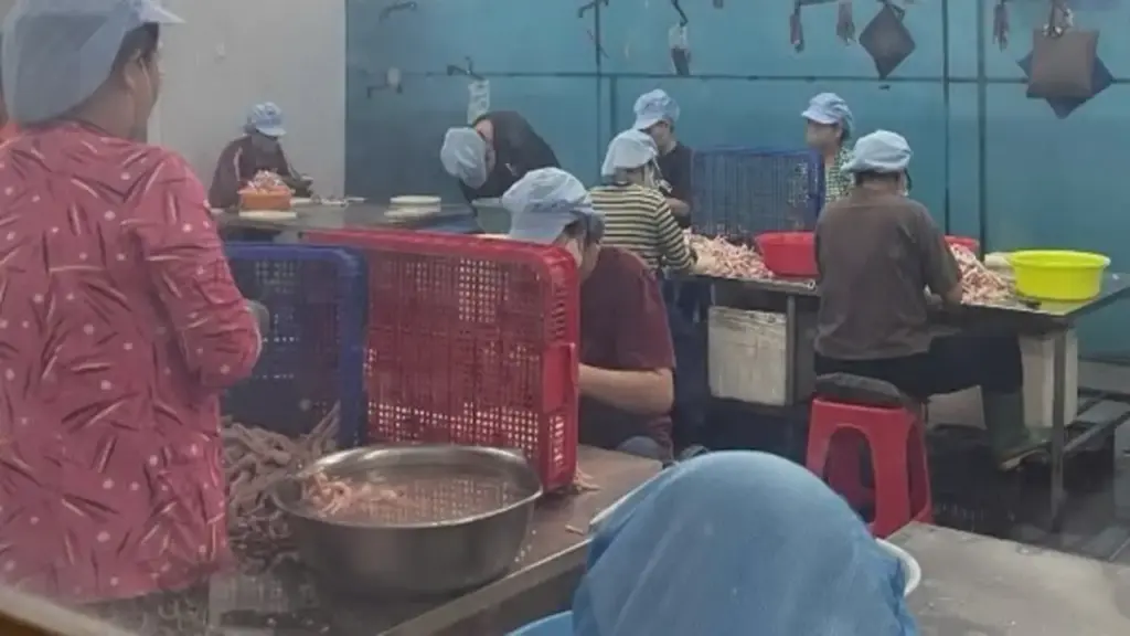 Đồng Nai: Phát hiện hơn 7 tấn chân gà hết hạn sử dụng, không rõ xuất xứ