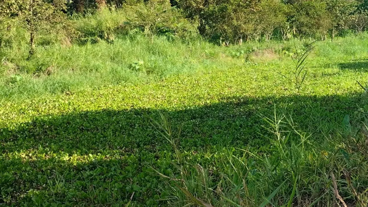 Dự án 4,2 tỷ đồng từ 17 năm trước chưa xong, không liên lạc được nhà đầu tư