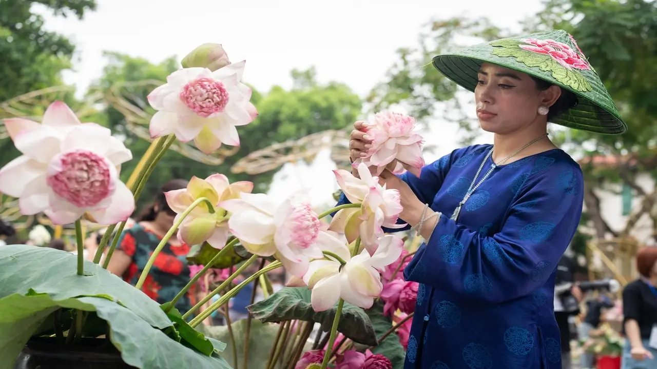 Du khách đổ về chiêm ngưỡng hoa sen Hà Nội
