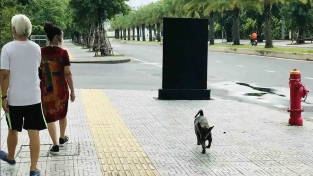 Đừng bắt cộng đồng chịu đựng tình trạng nuôi chó vô ý thức