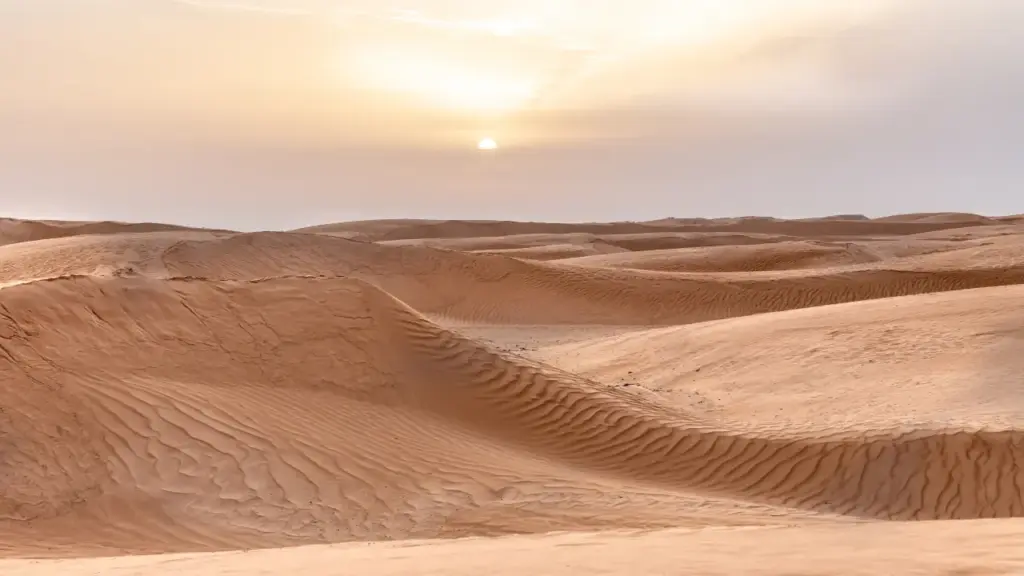 Gần 50 người chết khát giữa sa mạc Sahara