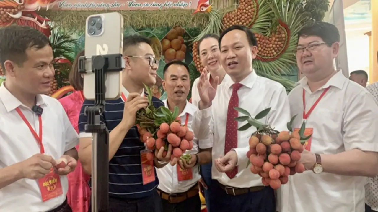 Giá vải 'nhảy múa', doanh nghiệp lo không đủ hàng xuất khẩu