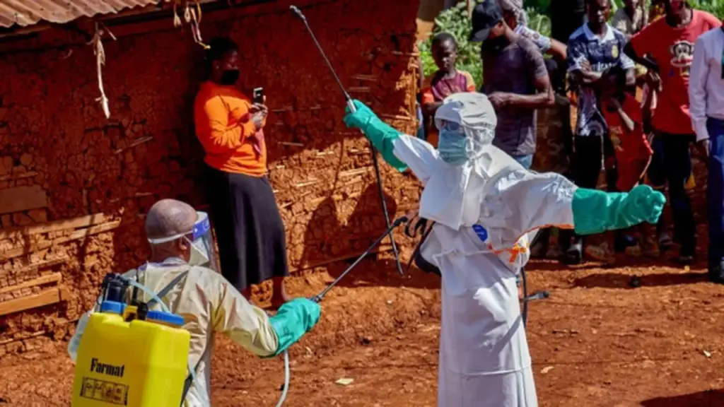 Hàng không quốc tế báo động khẩn về dịch Ebola