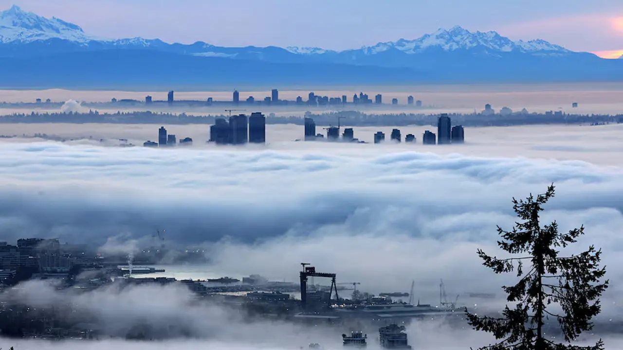 Hàng nghìn người Mỹ nhập tịch Canada diện huyết thống
