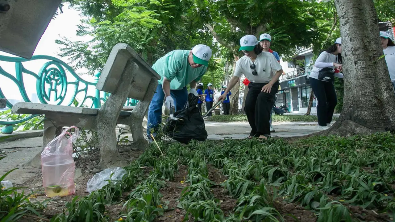 Hồ Tây đang chịu nhiều áp lực từ đô thị hóa