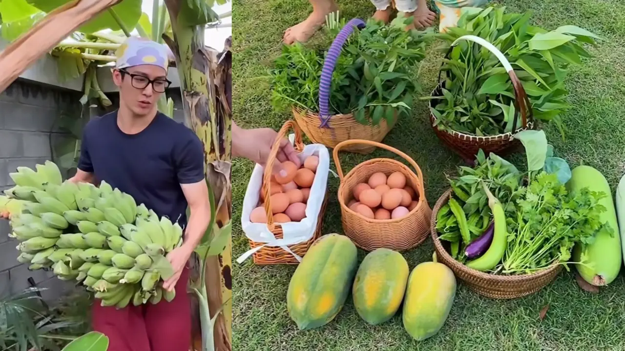 'Hoàng tử trong mơ' thu hoạch rau, trứng ở nhà vườn