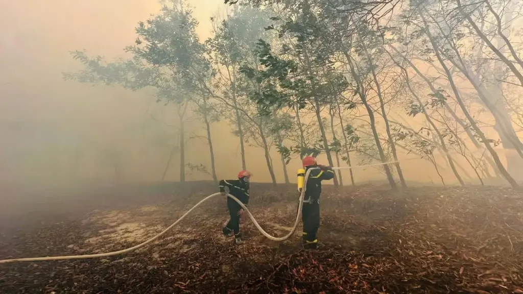 Khói phủ kín một vùng do cháy rừng, hàng trăm người căng mình dập lửa
