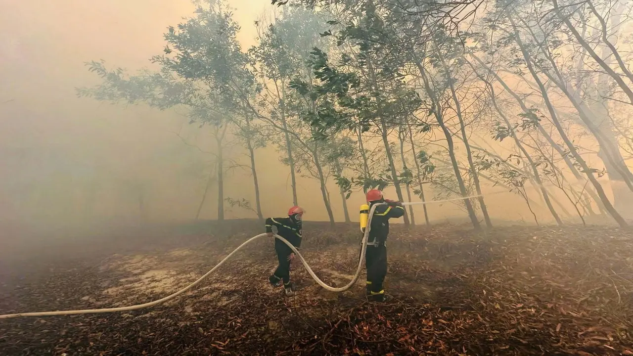 Khói phủ kín một vùng do cháy rừng, hàng trăm người căng mình dập lửa