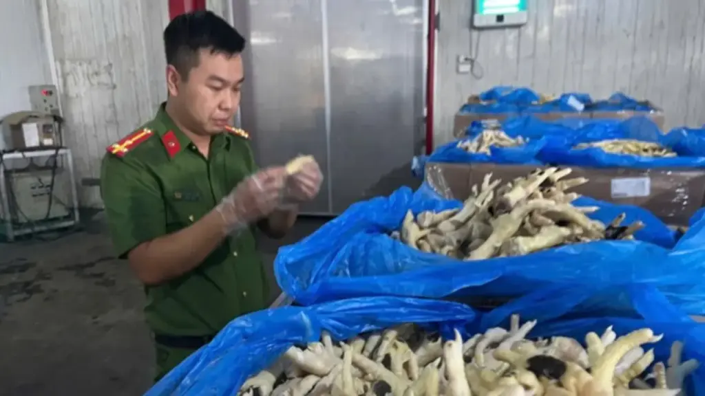 Khởi tố nữ giám đốc tuồn hơn 10.000 tấn chân gà nhập lậu ra thị trường