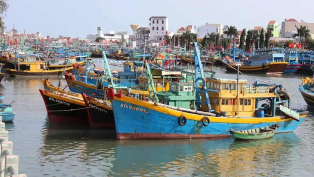 Lâm Đồng mở cao điểm siết IUU, chặn tàu cá vi phạm ngay từ trong bờ