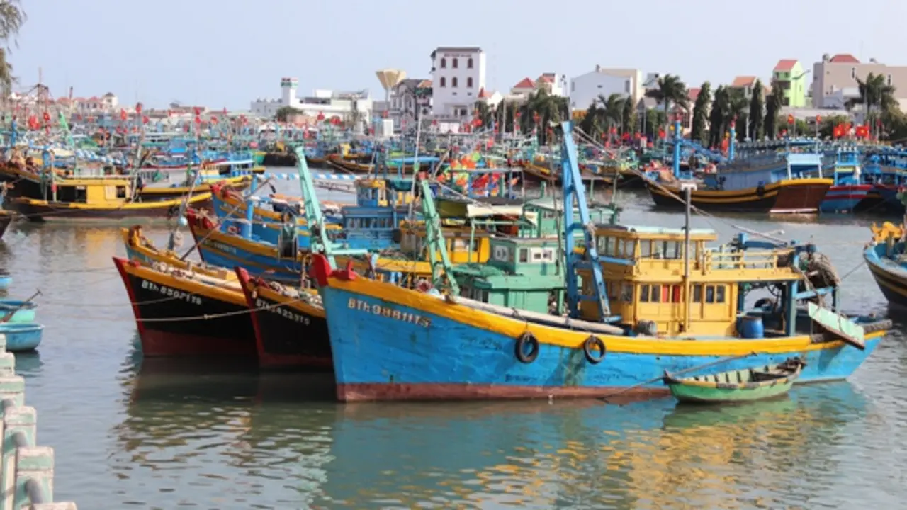 Lâm Đồng mở cao điểm siết IUU, chặn tàu cá vi phạm ngay từ trong bờ