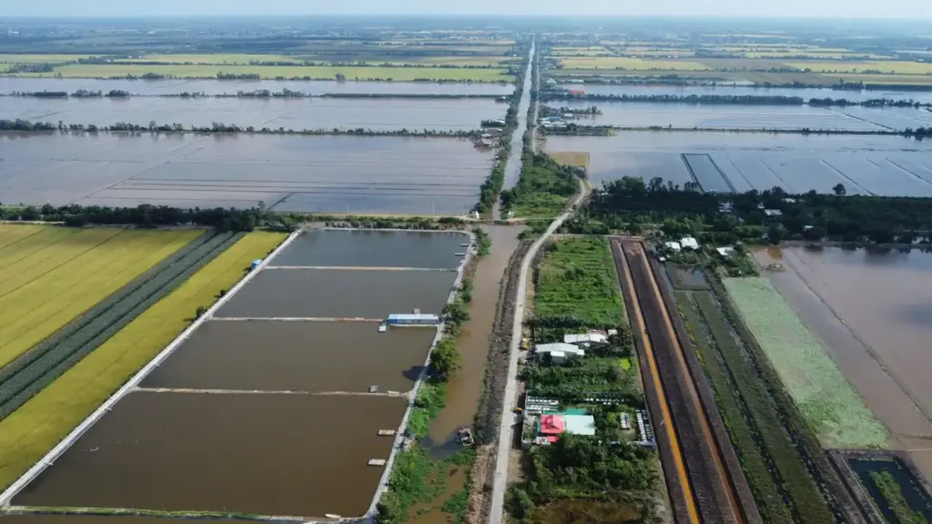 Làm đường kết nối cao tốc vào vùng Đồng Tháp Mười