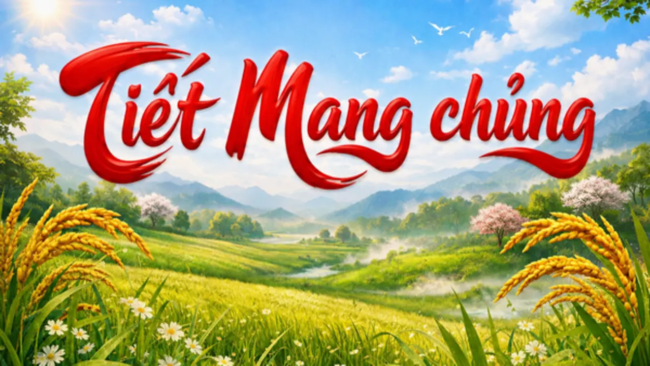 Lịch âm hôm nay 2.6: Thấy sao Tua Rua mọc, người Việt sắp đón tiết Mang chủng