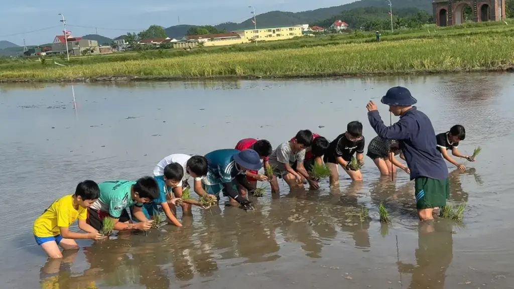 Lớp học mò cua bắt ốc cho 'khối nghỉ hè'