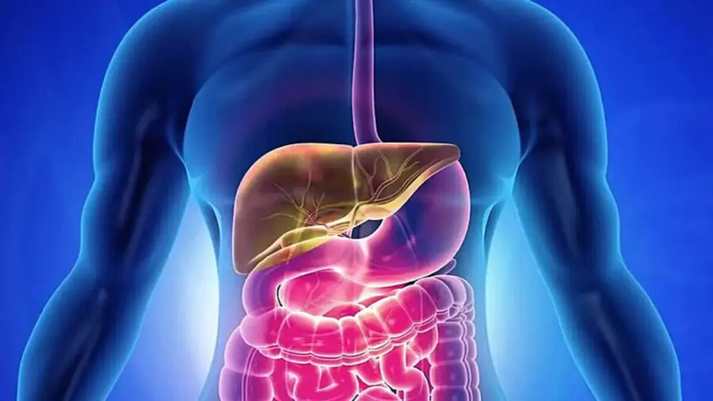 Men gan tăng gấp 20 lần, phải cắt túi mật vì thuốc giảm cân