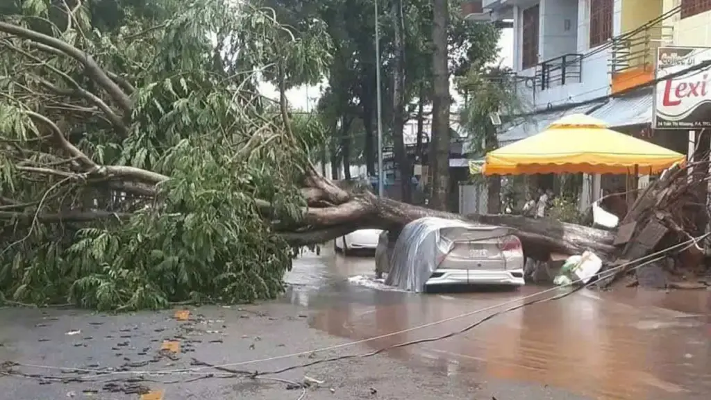 Mưa giông quật đổ hàng chục cây xanh, đè hai ôtô
