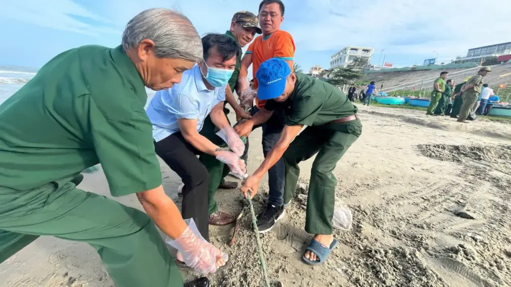 Mũi Né lập tổ phản ứng nhanh, quyết dẹp nạn chèo kéo khách, cân gian