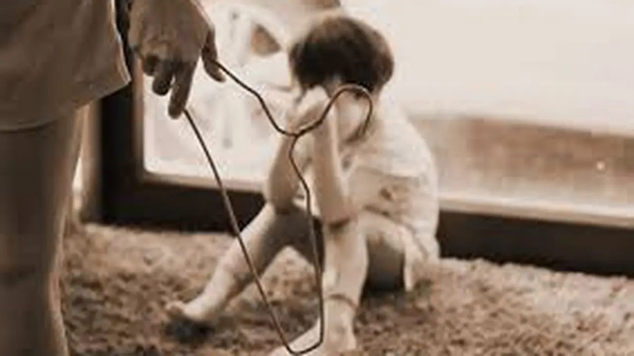 Nóng: Tạm giữ mẹ kế nghi bạo hành con riêng của chồng