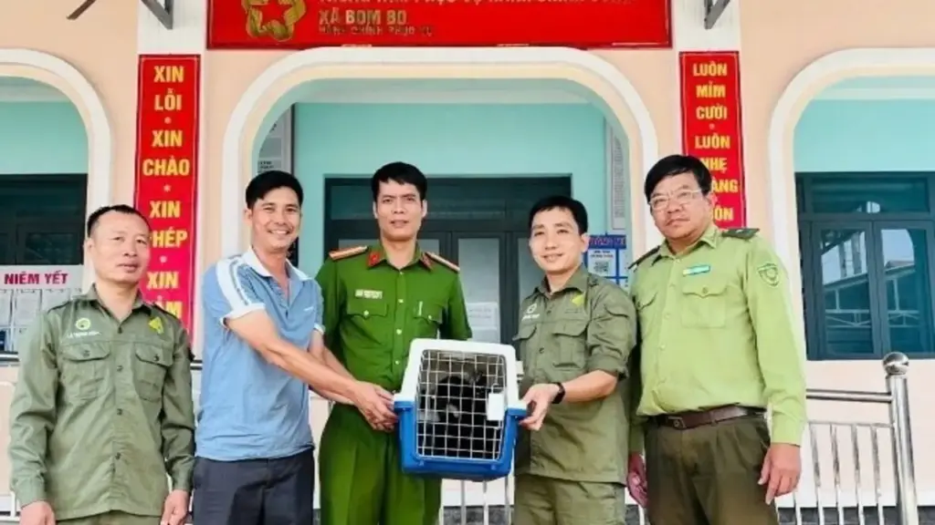 Phát hiện cá thể vượn đen má trắng trong rẫy nhà dân ở Đồng Nai