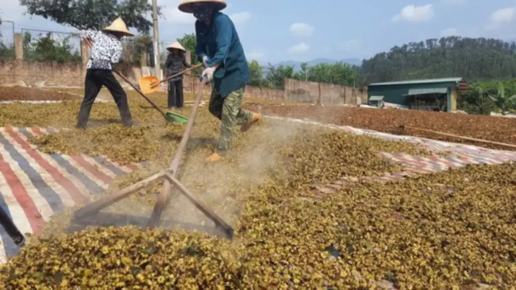 Quảng Ninh: Giữ vững đà tăng trưởng ngành nông nghiệp