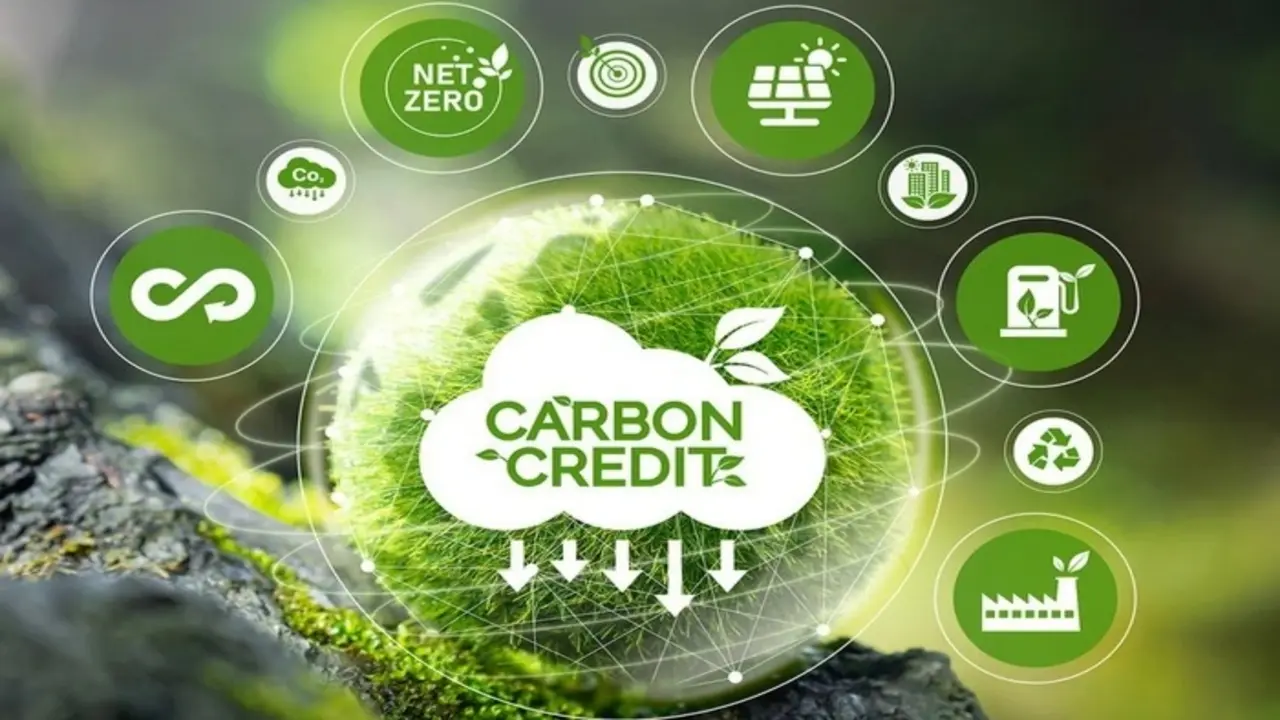Sắp khai trương sàn giao dịch carbon Việt Nam