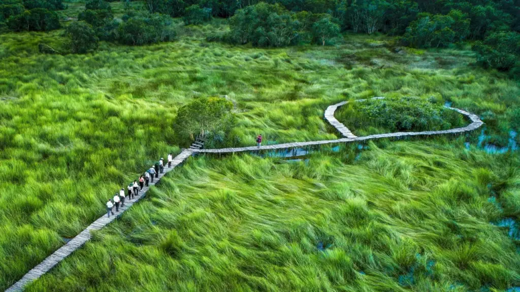 Tây Ninh phát triển du lịch điện ảnh với phim trường ngoại cảnh, trung tâm sản xuất hậu kỳ gần TP.HCM