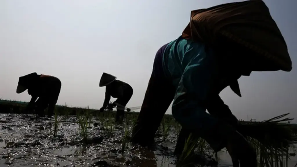 Thế giới ứng phó siêu El Nino