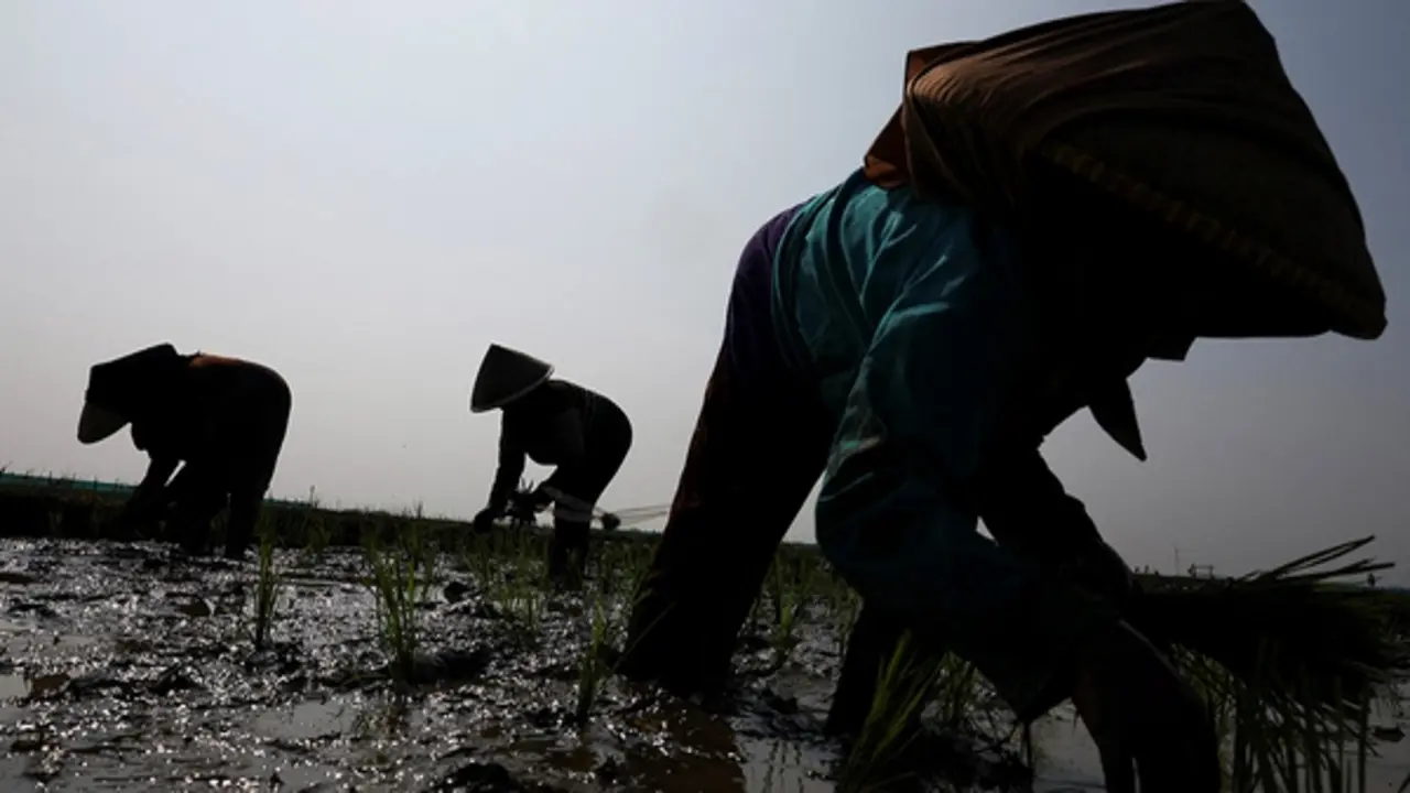Thế giới ứng phó siêu El Nino