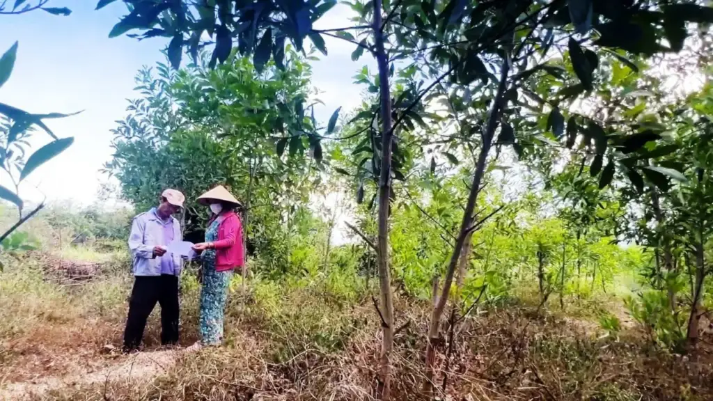 Thu hồi dự án FLC nhưng 'quên' hủy quyết định thu hồi đất