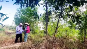 Thu hồi dự án FLC nhưng 'quên' hủy quyết định thu hồi đất