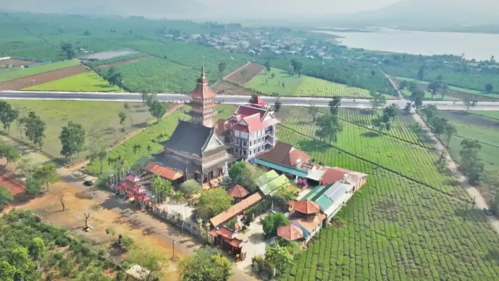 Thu không đủ trả tiền công, làm sao giữ vùng chè Biển Hồ?