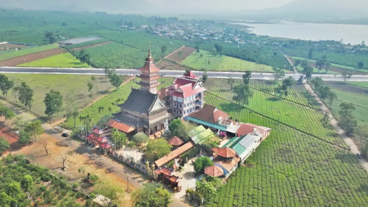 Thu không đủ trả tiền công, làm sao giữ vùng chè Biển Hồ?