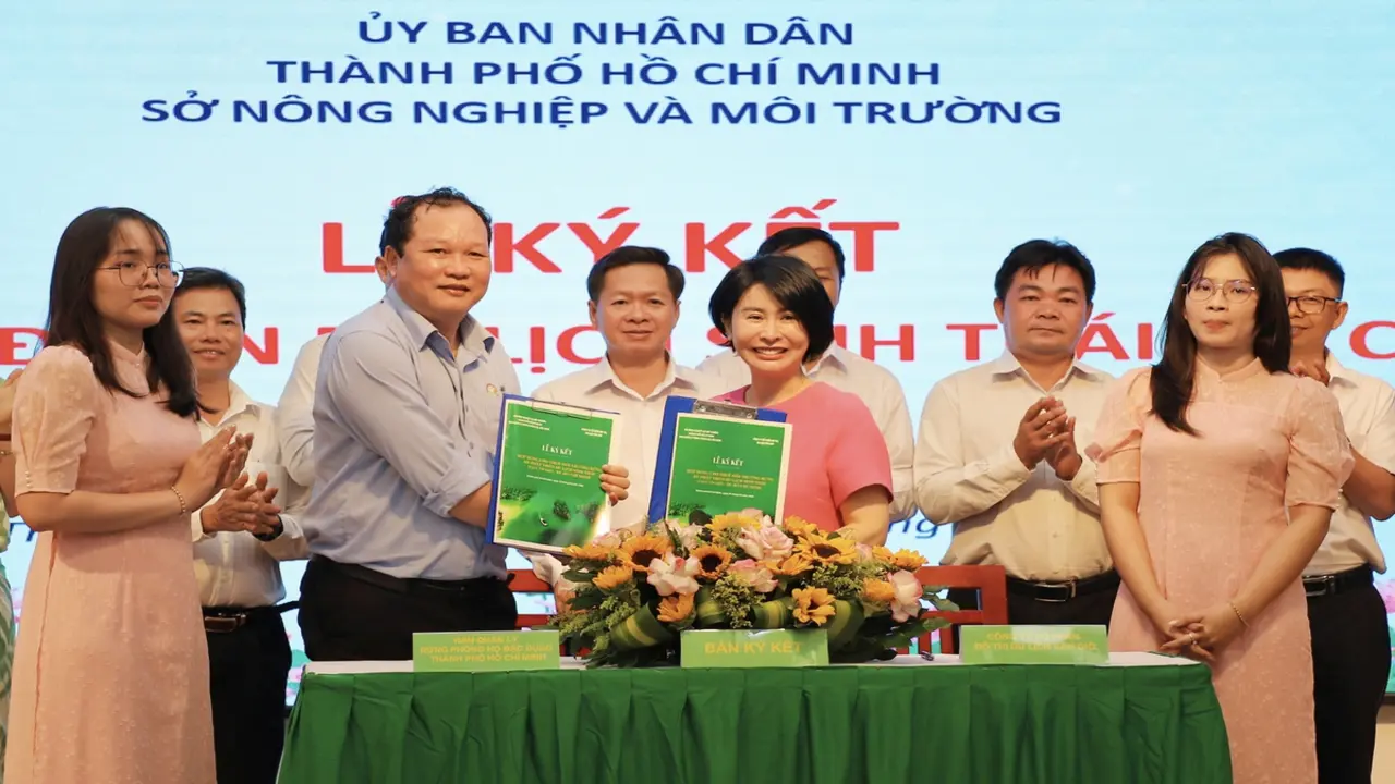 TP.HCM triển khai đề án du lịch sinh thái tại rừng phòng hộ Cần Giờ