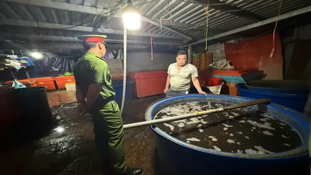 TPHCM yêu cầu xử lý nghiêm việc bao che vi phạm an toàn thực phẩm